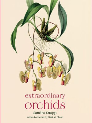 cover image of Extraordinary Orchids